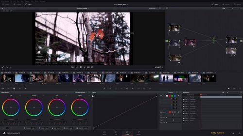 Davinci Resolve